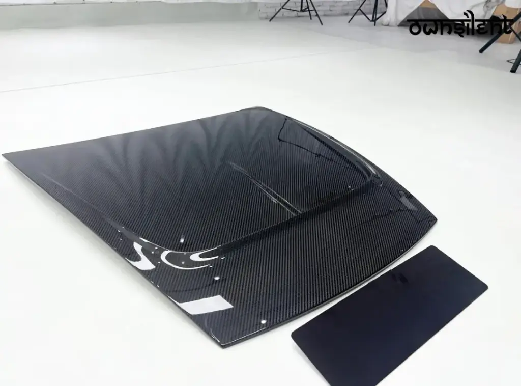 DRY CARBON HOOD for MASERATI MC20 2020+
