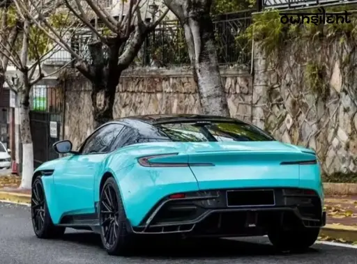 FORZA DRY CARBON REAR DIFFUSER FOR ASTON MARTIN DB 11