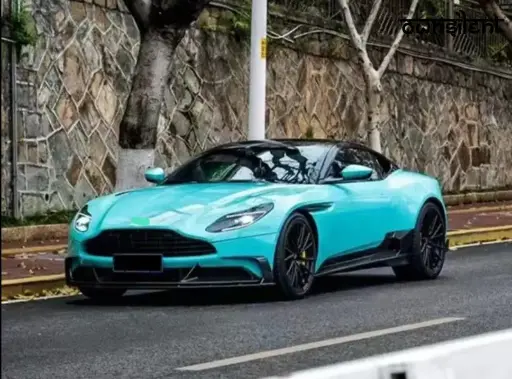 FORZA DRY CARBON SIDE SKIRTS FOR ASTON MARTIN DB 11 (2)