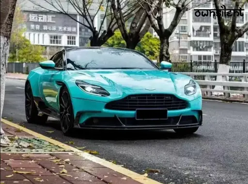 FORZA DRY CARBON FRONT LIP FOR ASTON MARTIN DB 11